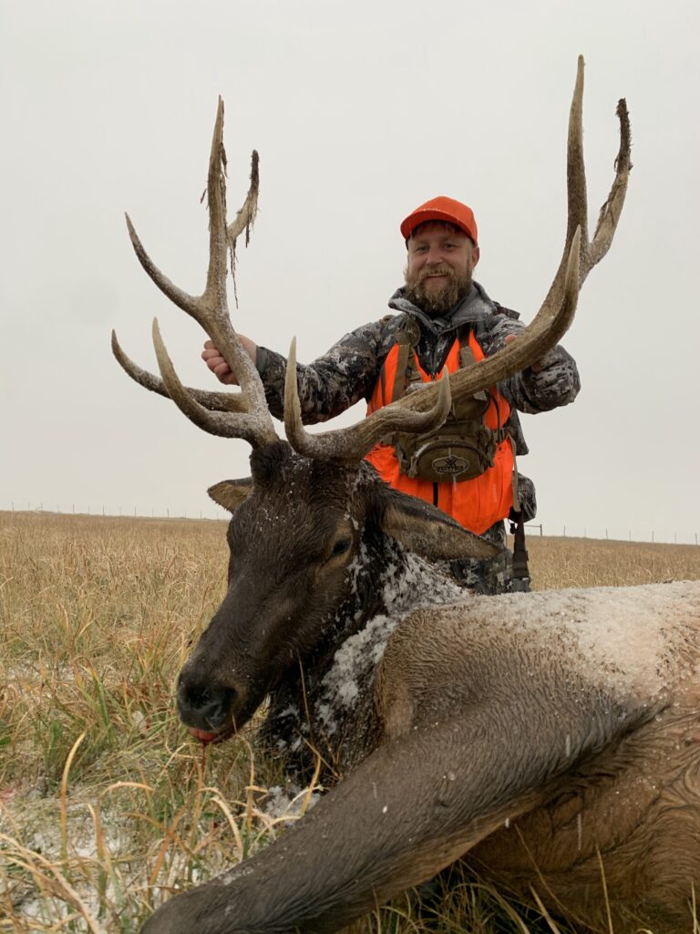 Trophy Elk